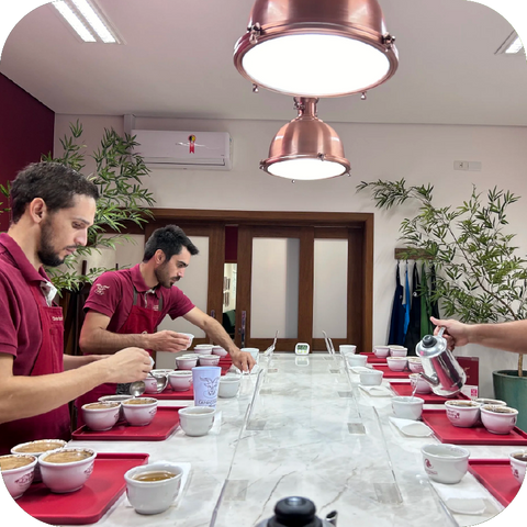 São Paolo & Paraná | Brazil | Dark Roast Coffee