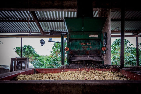 Huila Coocentral | Colombia | Medium Roast Coffee