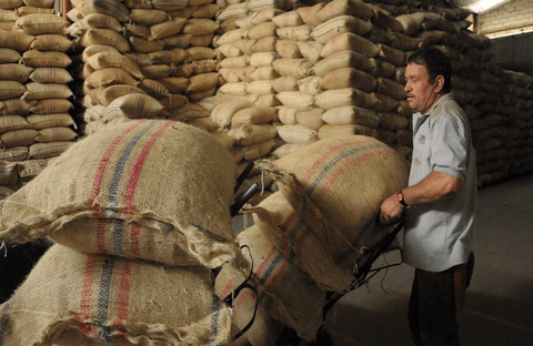 Decaf Huila | Colombia | Washed EA Decaf Coffee